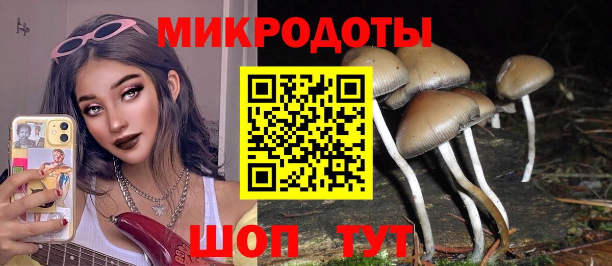 Галлюциногенные грибы мицелий Кушва